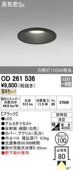 ODELIC ǥå ƥꥢ饤 OD261536 ñʲ
