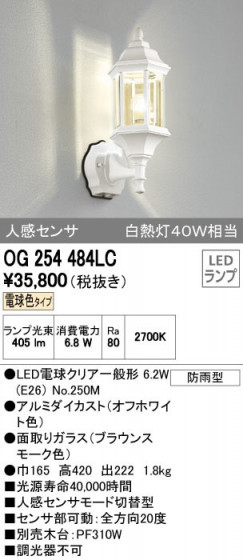 ODELIC ǥå ƥꥢ饤 OG254484LC ñʲ