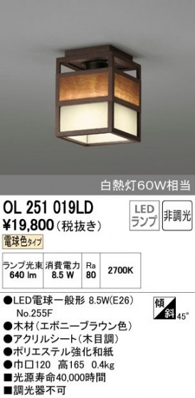 ODELIC ǥå 󥰥饤 OL251019LD ñʲ