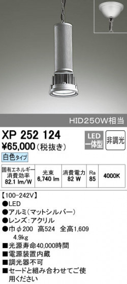 ODELIC ǥå ڥȥ饤 XP252124 ñʲ