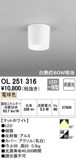 ODELIC ǥå 󥰥饤 OL251316 ᥤ̿
