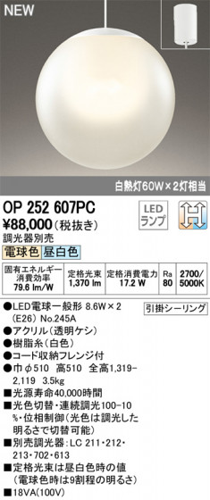 ODELIC ǥå ڥȥ饤 OP252607PC ᥤ̿