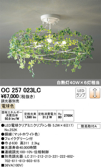 ODELIC ǥå ǥꥢ OC257023LC ᥤ̿