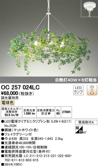 ODELIC ǥå ǥꥢ OC257024LC ᥤ̿