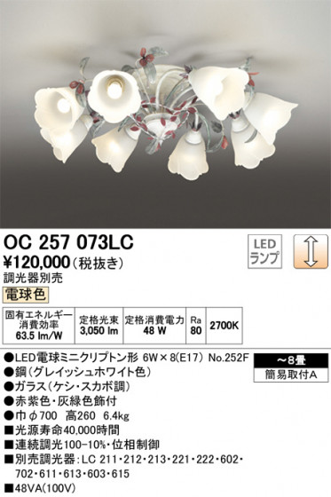 ODELIC ǥå ǥꥢ OC257073LC ᥤ̿