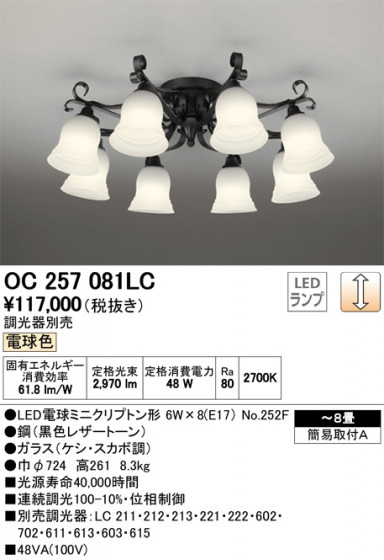 ODELIC ǥå ǥꥢ OC257081LC ᥤ̿