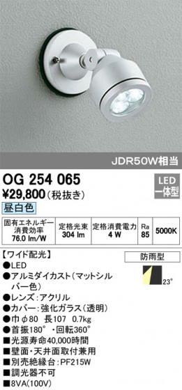 ODELIC ǥå ƥꥢ饤 OG254065 ᥤ̿