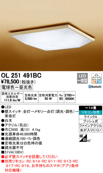 ODELIC ǥå 󥰥饤 OL251491BC ᥤ̿