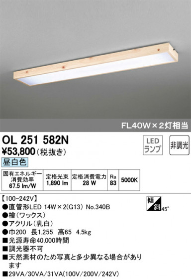 ODELIC ǥå 󥰥饤 OL251582N ᥤ̿