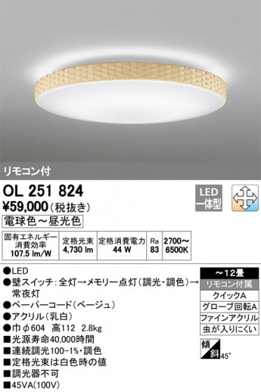ODELIC ǥå 󥰥饤 OL251824 ᥤ̿