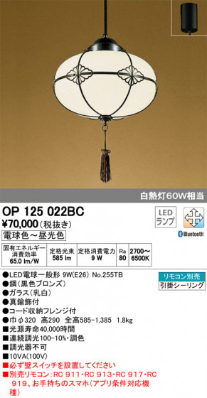 ODELIC ǥå ڥȥ饤 OP125022BC ᥤ̿