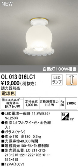 ODELIC ǥå 󥰥饤 OL013016LC1 ᥤ̿