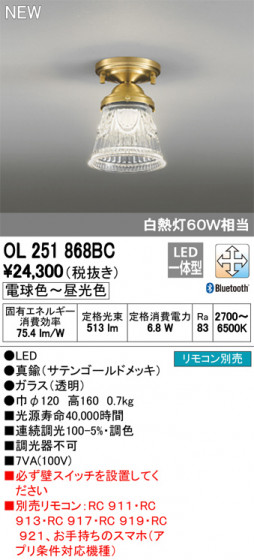 ODELIC ǥå 󥰥饤 OL251868BC ᥤ̿