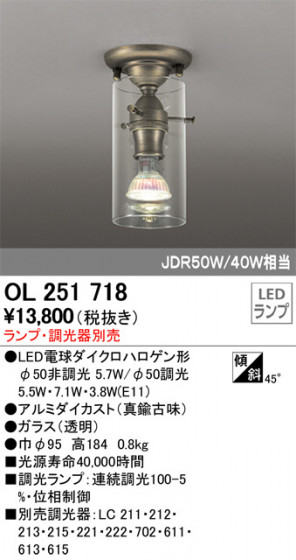 ODELIC ǥå 󥰥饤 OL251718 ᥤ̿