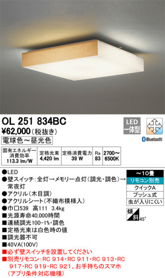ODELIC ǥå 󥰥饤 OL251834BC ᥤ̿