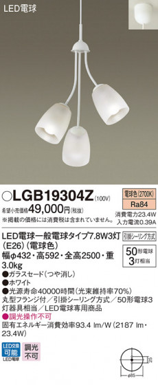 Panasonic ǥꥢ LGB19304Z ᥤ̿
