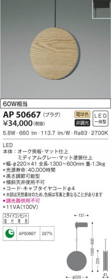KOIZUMI ߾ ڥ AP50667 β