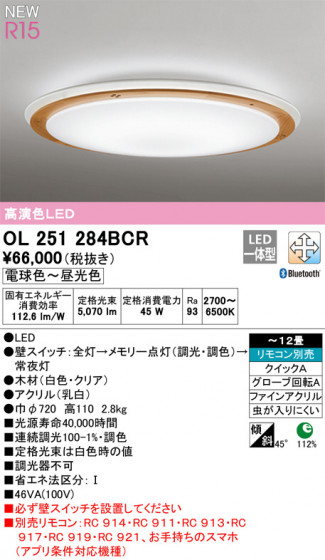 ODELIC ǥå 󥰥饤 OL251284BCR ᥤ̿