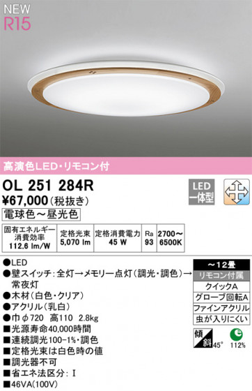 ODELIC ǥå 󥰥饤 OL251284R ᥤ̿
