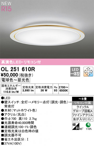 ODELIC ǥå 󥰥饤 OL251610R ᥤ̿