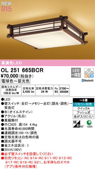 ODELIC ǥå 󥰥饤 OL251665BCR ᥤ̿