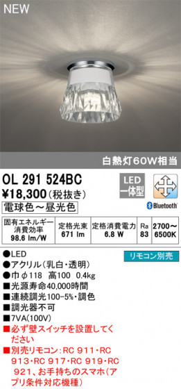 ODELIC ǥå 󥰥饤 OL291524BC ᥤ̿