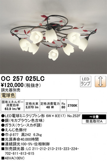 ODELIC ǥå ǥꥢ OC257025LC ᥤ̿