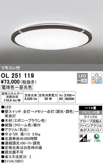 ODELIC ǥå 󥰥饤 OL251119 ᥤ̿