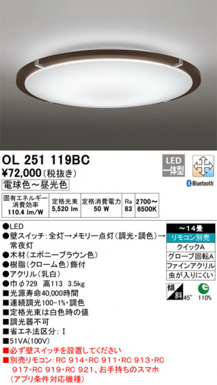 ODELIC ǥå 󥰥饤 OL251119BC ᥤ̿
