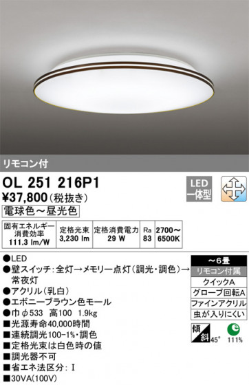 ODELIC ǥå 󥰥饤 OL251216P1 ᥤ̿