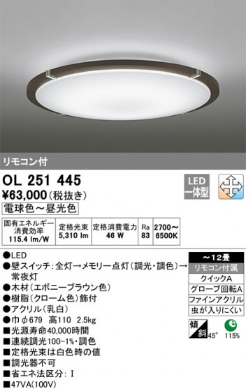 ODELIC ǥå 󥰥饤 OL251445 ᥤ̿