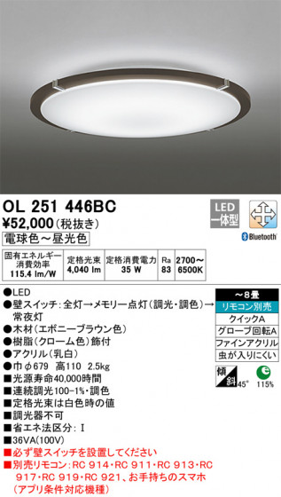 ODELIC ǥå 󥰥饤 OL251446BC ᥤ̿