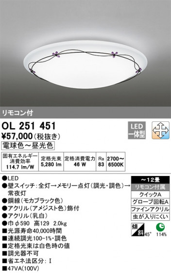 ODELIC ǥå 󥰥饤 OL251451 ᥤ̿