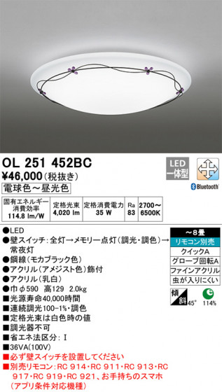 ODELIC ǥå 󥰥饤 OL251452BC ᥤ̿