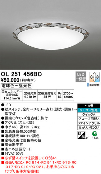 ODELIC ǥå 󥰥饤 OL251456BC ᥤ̿