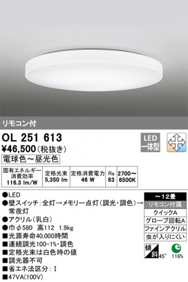 ODELIC ǥå 󥰥饤 OL251613 ᥤ̿