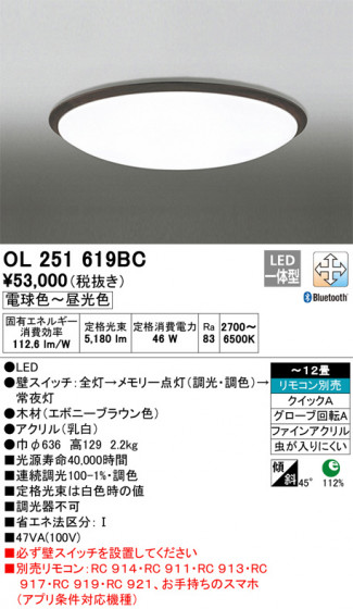 ODELIC ǥå 󥰥饤 OL251619BC ᥤ̿
