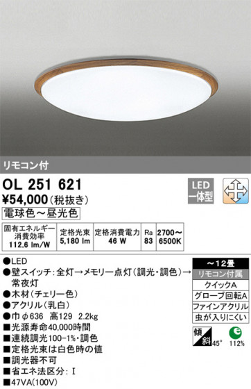 ODELIC ǥå 󥰥饤 OL251621 ᥤ̿
