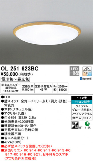 ODELIC ǥå 󥰥饤 OL251623BC ᥤ̿