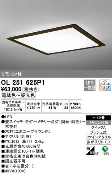 ODELIC ǥå 󥰥饤 OL251625P1 ᥤ̿