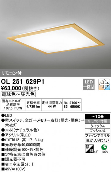 ODELIC ǥå 󥰥饤 OL251629P1 ᥤ̿