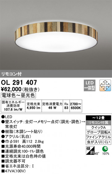 ODELIC ǥå 󥰥饤 OL291407 ᥤ̿
