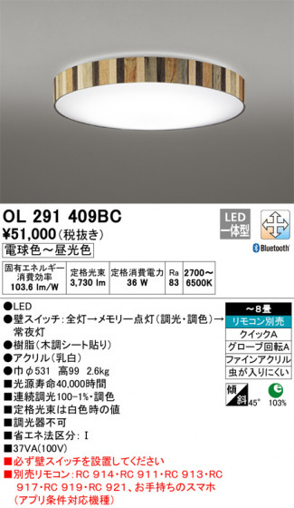 ODELIC ǥå 󥰥饤 OL291409BC ᥤ̿
