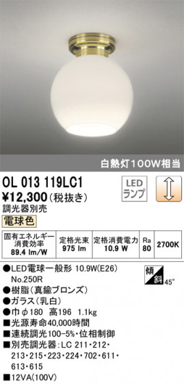 ODELIC ǥå 󥰥饤 OL013119LC1 ᥤ̿