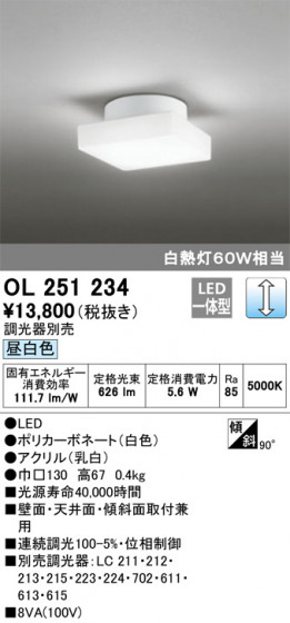 ODELIC ǥå 󥰥饤 OL251234 ᥤ̿