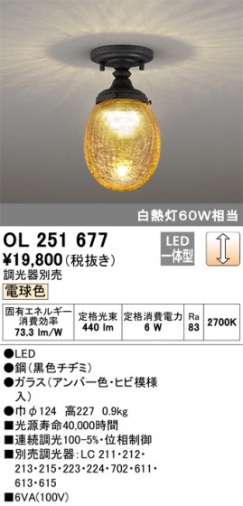 ODELIC ǥå 󥰥饤 OL251677 ᥤ̿