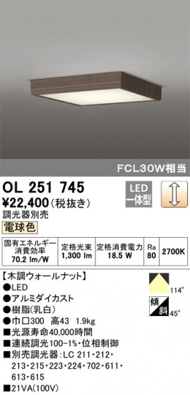 ODELIC ǥå 󥰥饤 OL251745 ᥤ̿