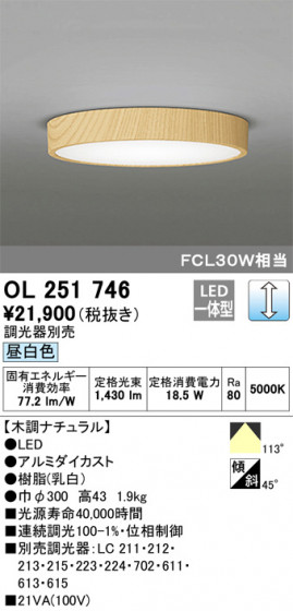 ODELIC ǥå 󥰥饤 OL251746 ᥤ̿