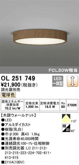 ODELIC ǥå 󥰥饤 OL251749 ᥤ̿