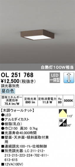 ODELIC ǥå 󥰥饤 OL251768 ᥤ̿